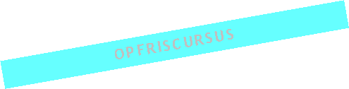 Tekstvak: Opfriscursus