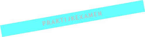 Tekstvak: Praktijkexamen